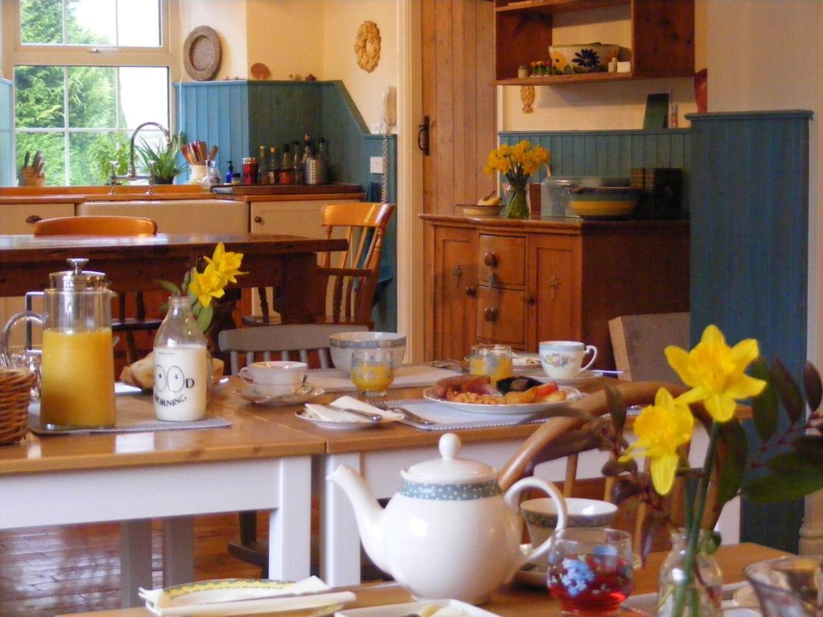 Lobhill Farmhouse Bed And Breakfast And Self Catering Accommodation Okehampton Kültér fotó