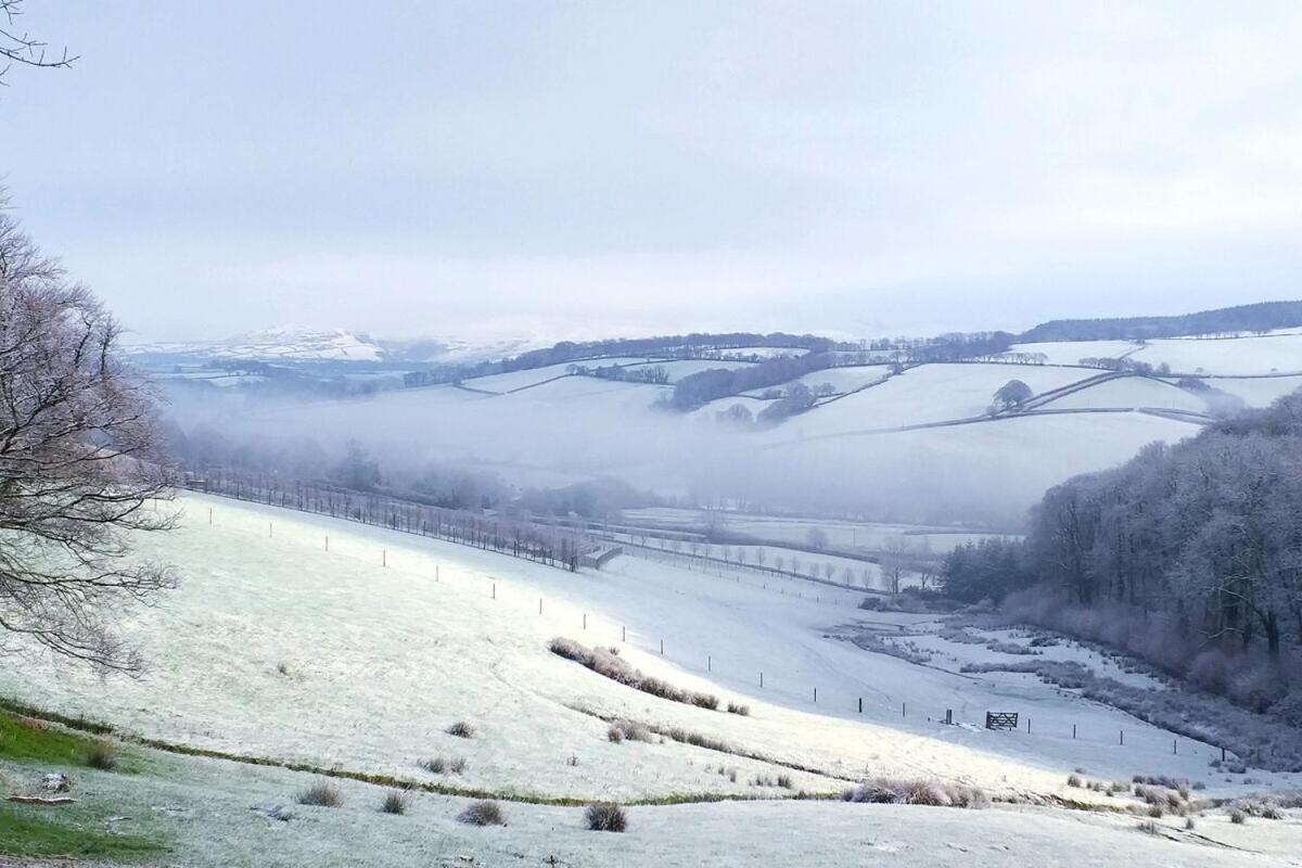 Lobhill Farmhouse Bed And Breakfast And Self Catering Accommodation Okehampton Szoba fotó