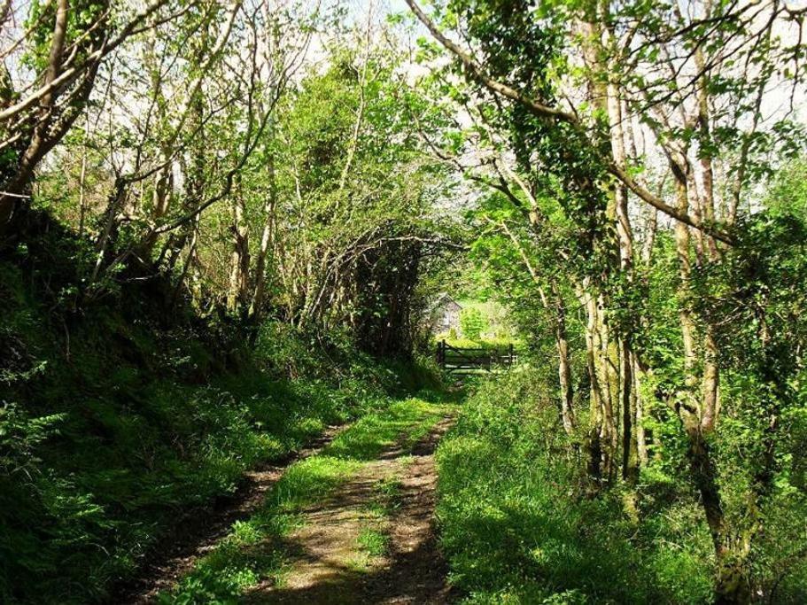 Lobhill Farmhouse Bed And Breakfast And Self Catering Accommodation Okehampton Szoba fotó