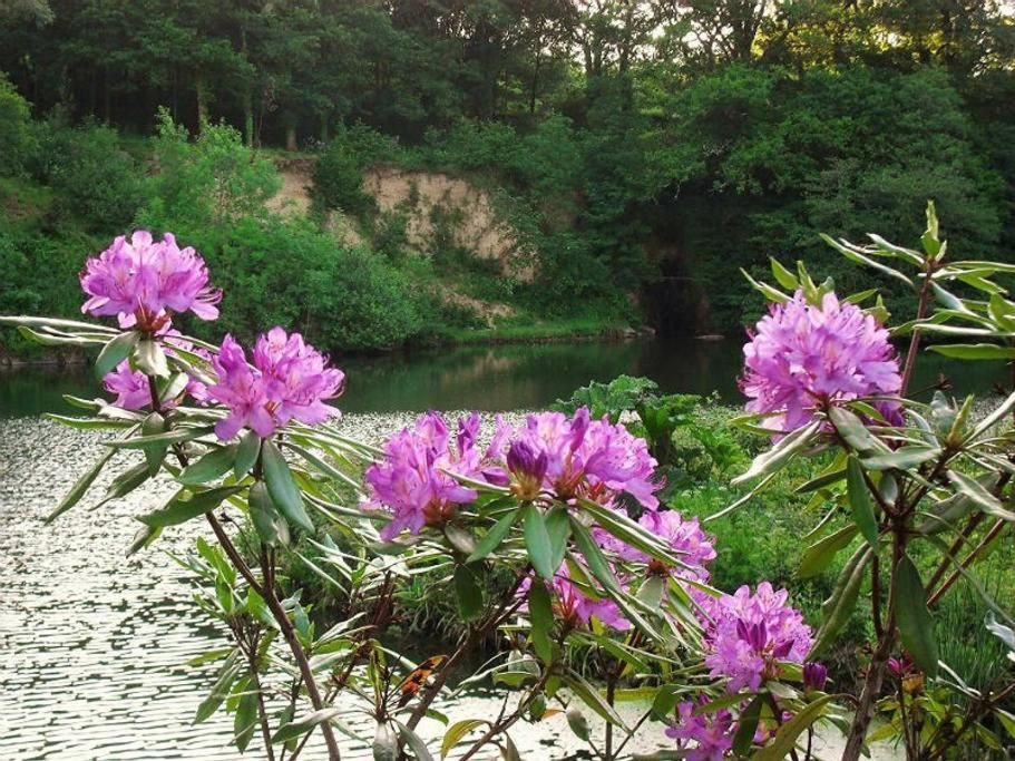 Lobhill Farmhouse Bed And Breakfast And Self Catering Accommodation Okehampton Szoba fotó